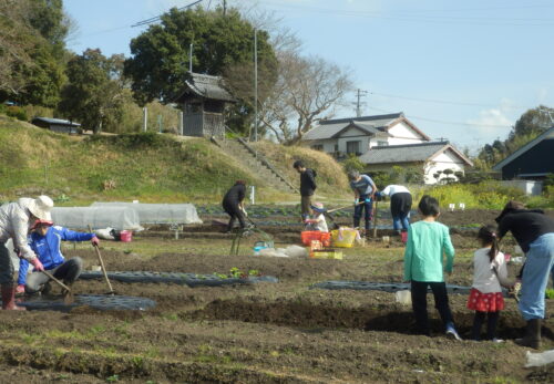 5月から始まる夏野菜コースの受付中！