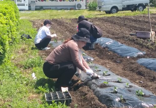 夏野菜コースの募集は締め切りました